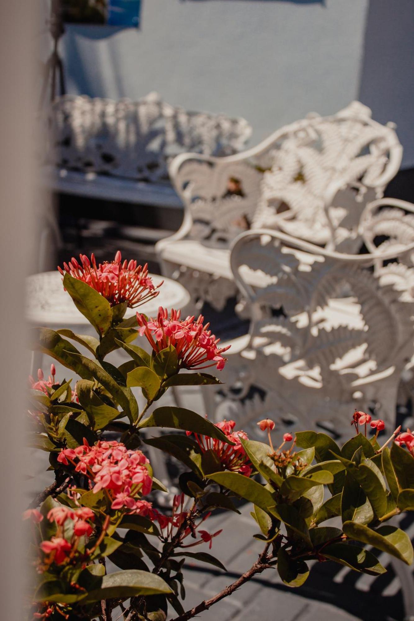 Pousada Iguassu Charm Suites Foz do Iguaçu Dış mekan fotoğraf